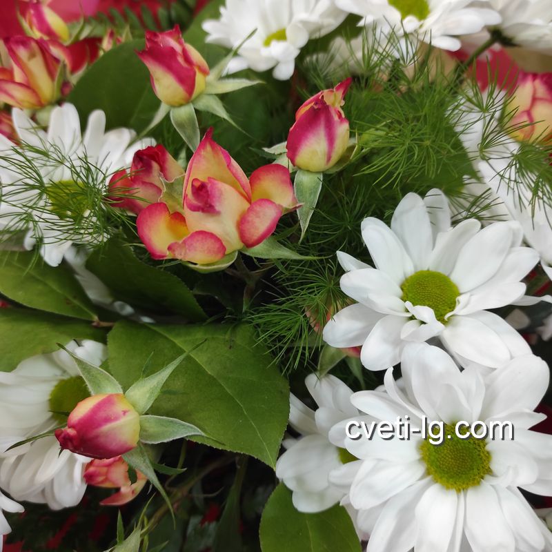 купить хризантему в Луганске