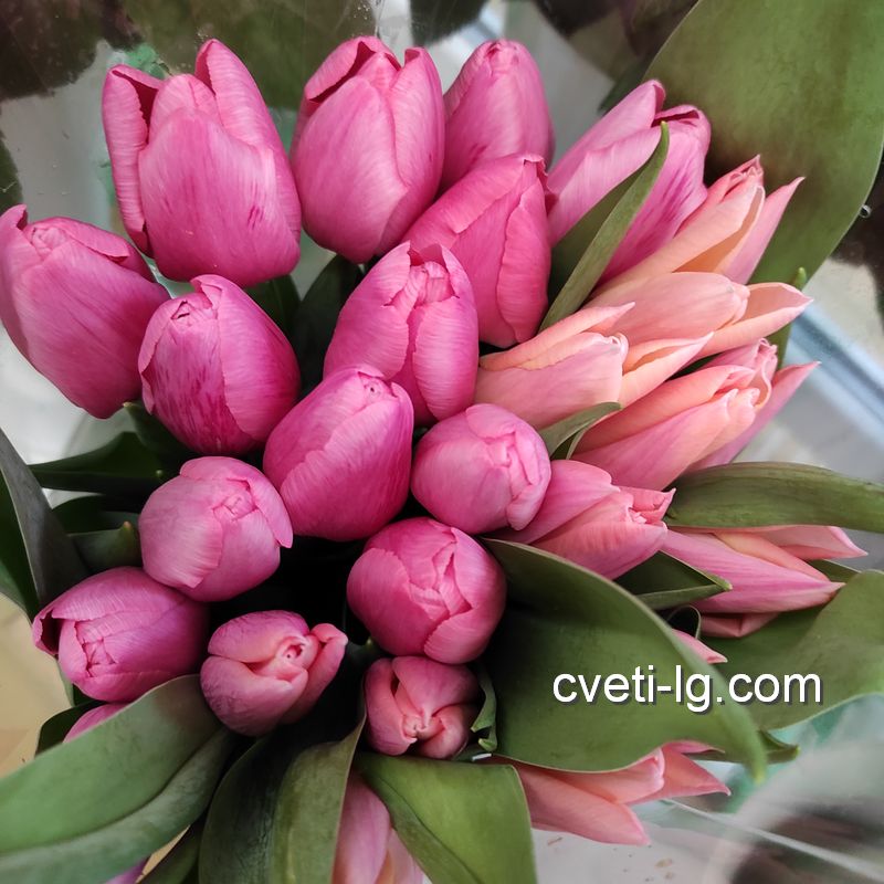 доставка цветов Луганск тюльпаны