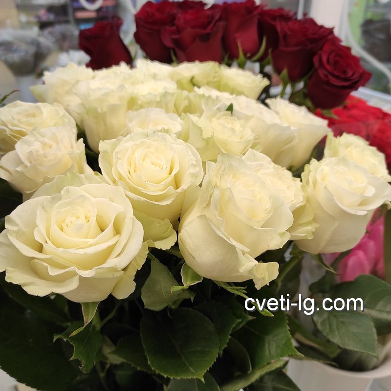 доставка цветов Луганск чайная роза
