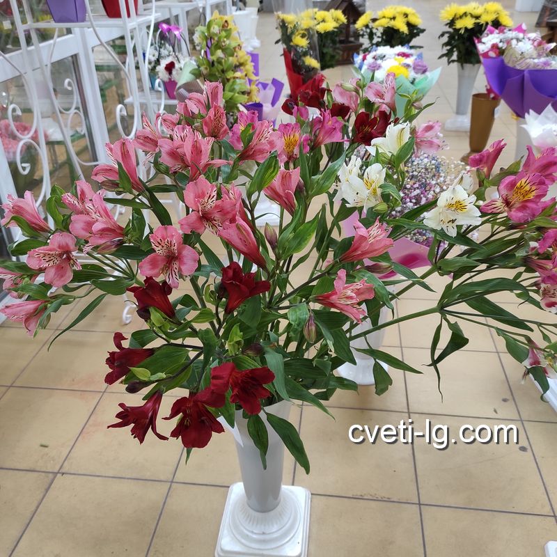 доставка цветов Луганск